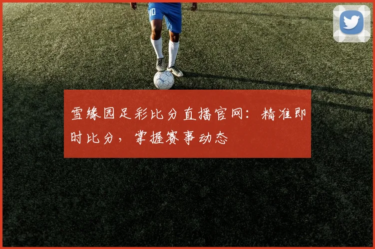 雪缘园足彩比分直播官网：精准即时比分，掌握赛事动态