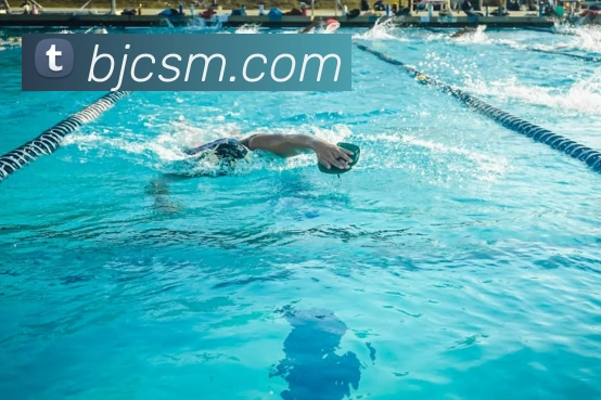 开云手机入口官方网站服务体系